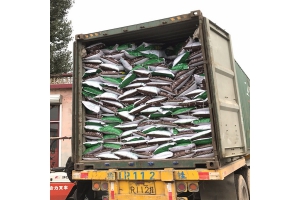 育苗基质装车
